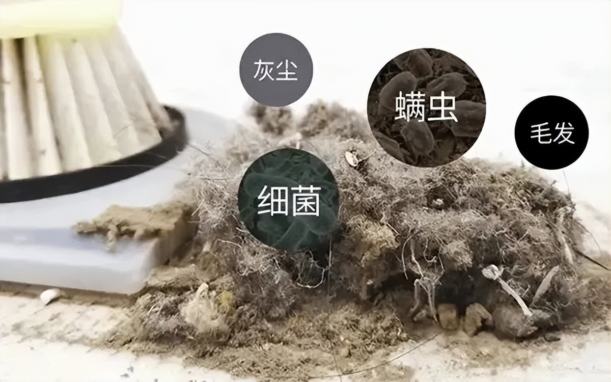 狗狗肚皮上起红点并痒怎么回事,狗狗身上发痒有红点是怎么了