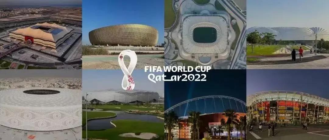 有关世界杯知识,了解世界杯的知识2024