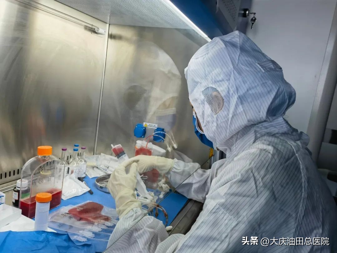 60天携手“闯关”,她用信任赢得“生”的希望