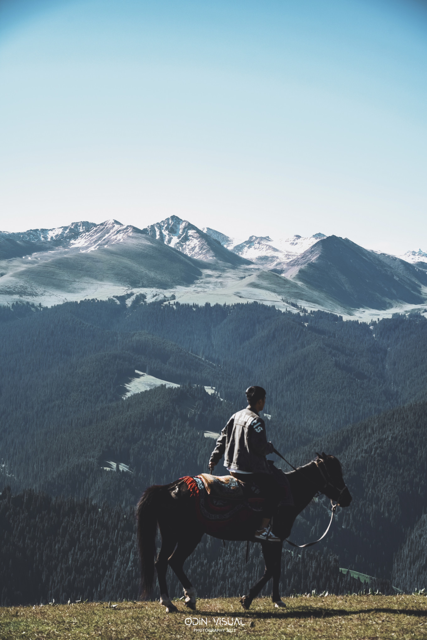 新疆伊犁之美,走了一圈才发现世界万物远不及你