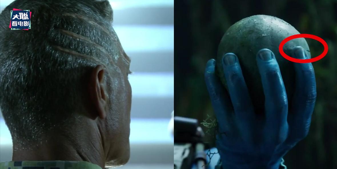 阿凡达2曝光全新中文海报及预告,外网曝阿凡达2预告