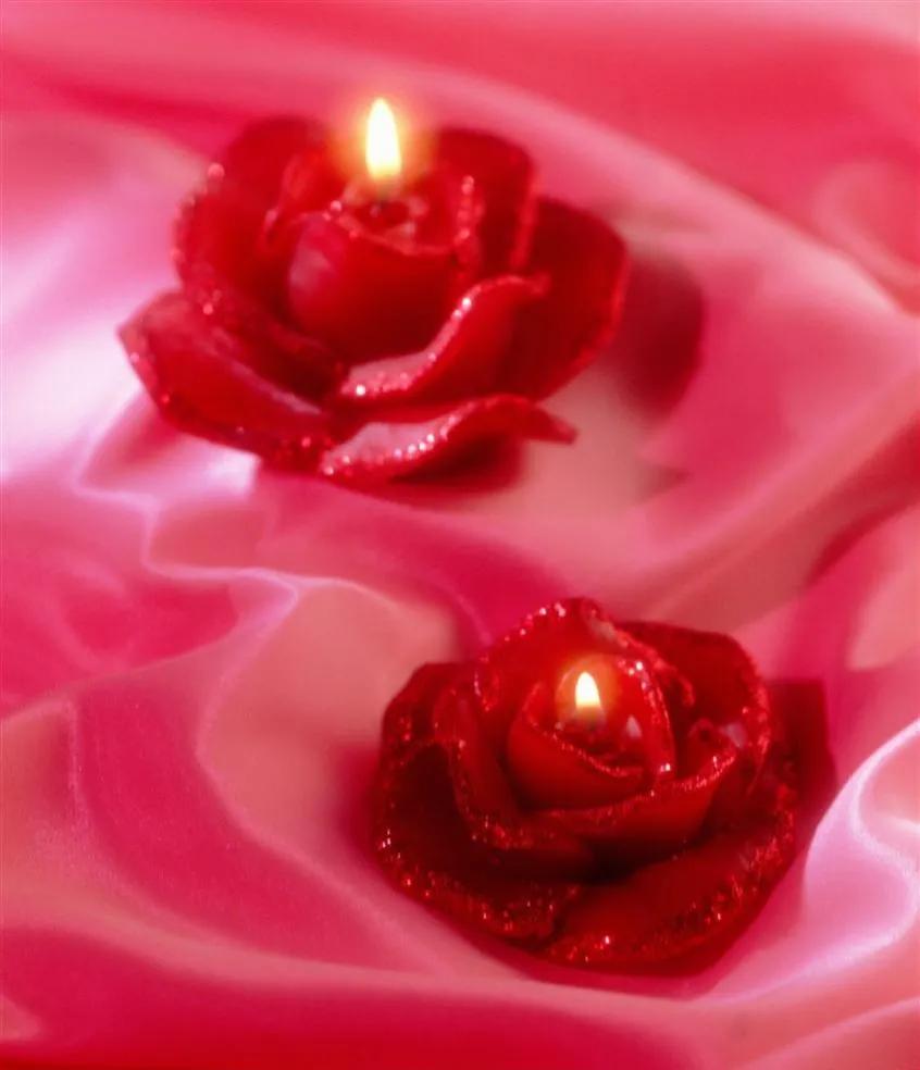 玫瑰花ins高级质感背景图,玫瑰花背景图高清图