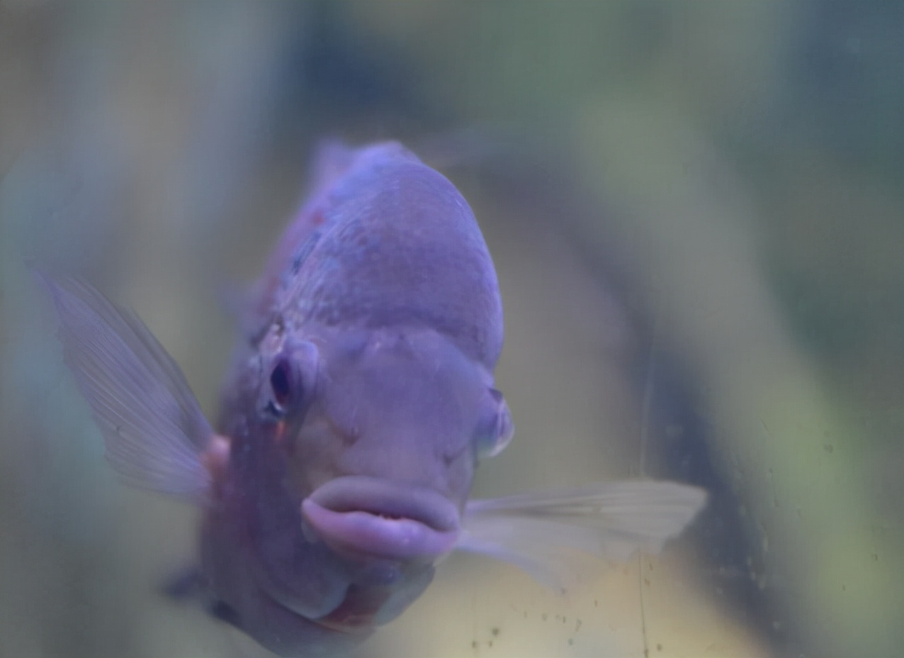 金鹰海洋世界常州万达,常州金鹰海洋世界怎么样好玩吗