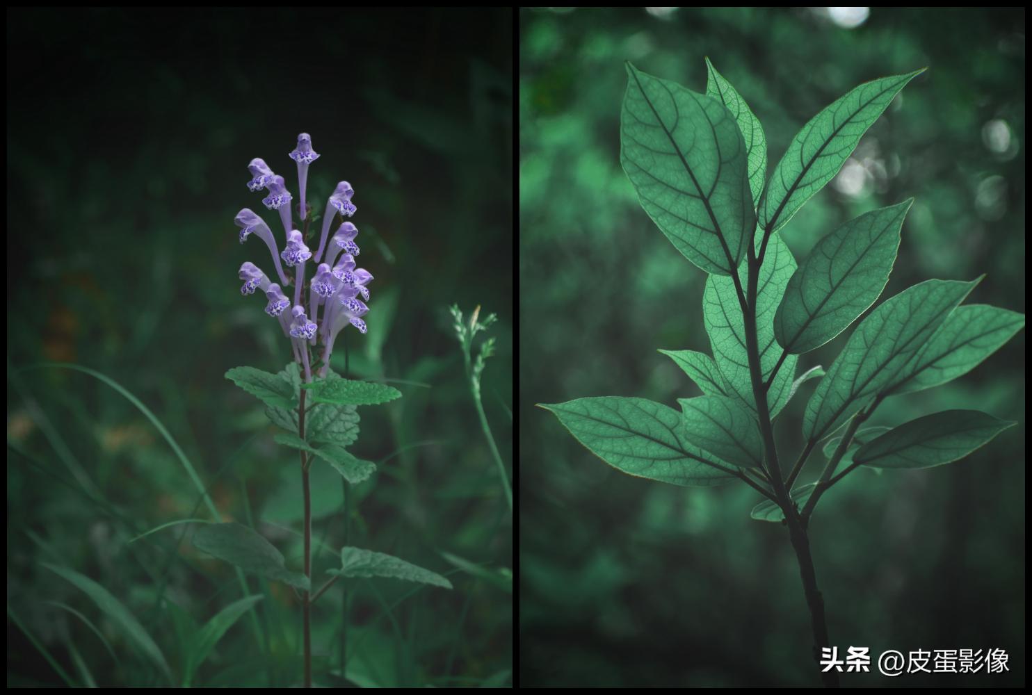 人像拍摄教程光影怎么拍,拍摄人像光源的技巧