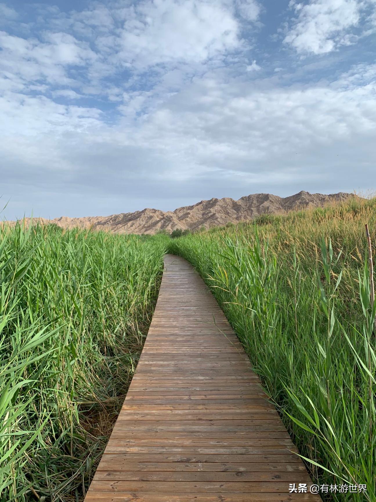 失业两年的旅游人,一个失业在家的旅游业者
