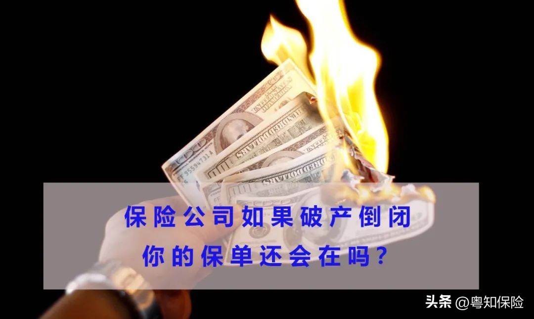 保险公司破产已购保单如何处理,保险公司破产保单纠纷