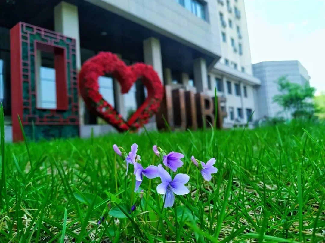 对外经济贸易大学2023年复试线,对外经济贸易大学2024年考研简章