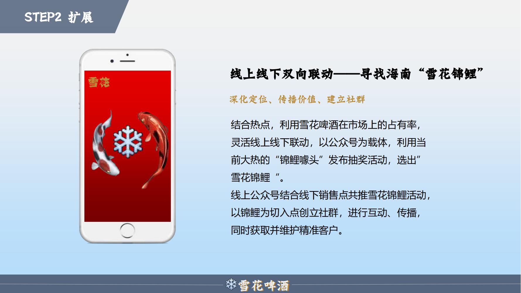 雪花啤酒品牌策划方案范文ppt,品牌啤酒的营销策划书