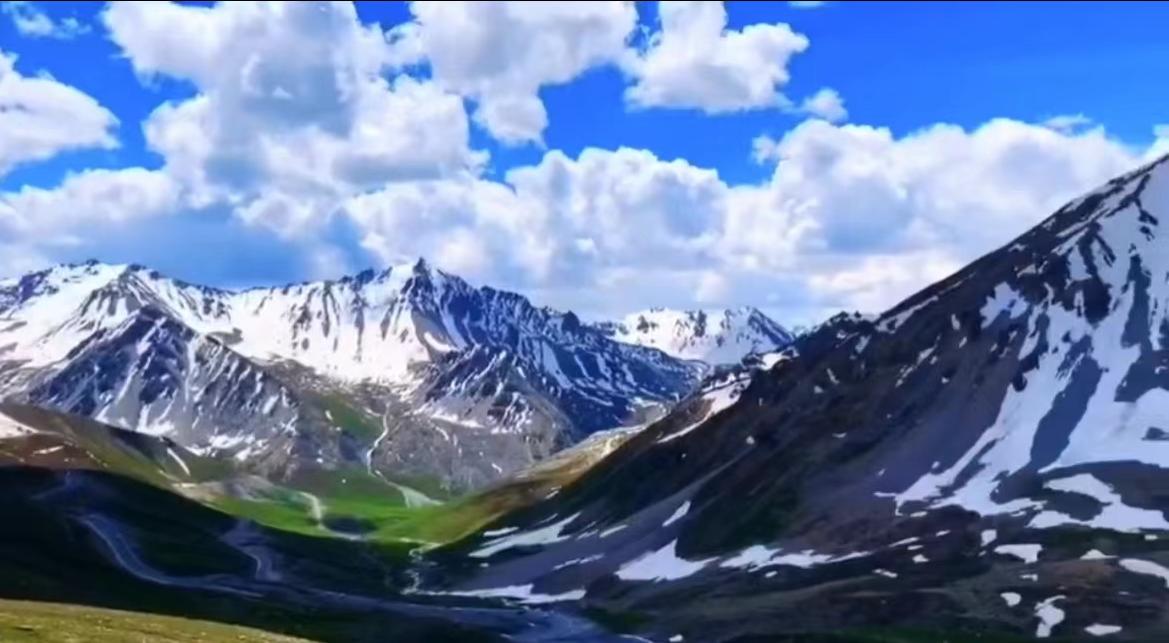 汇顶科技指纹识别芯片毛利率,全球芯片巨头暴跌