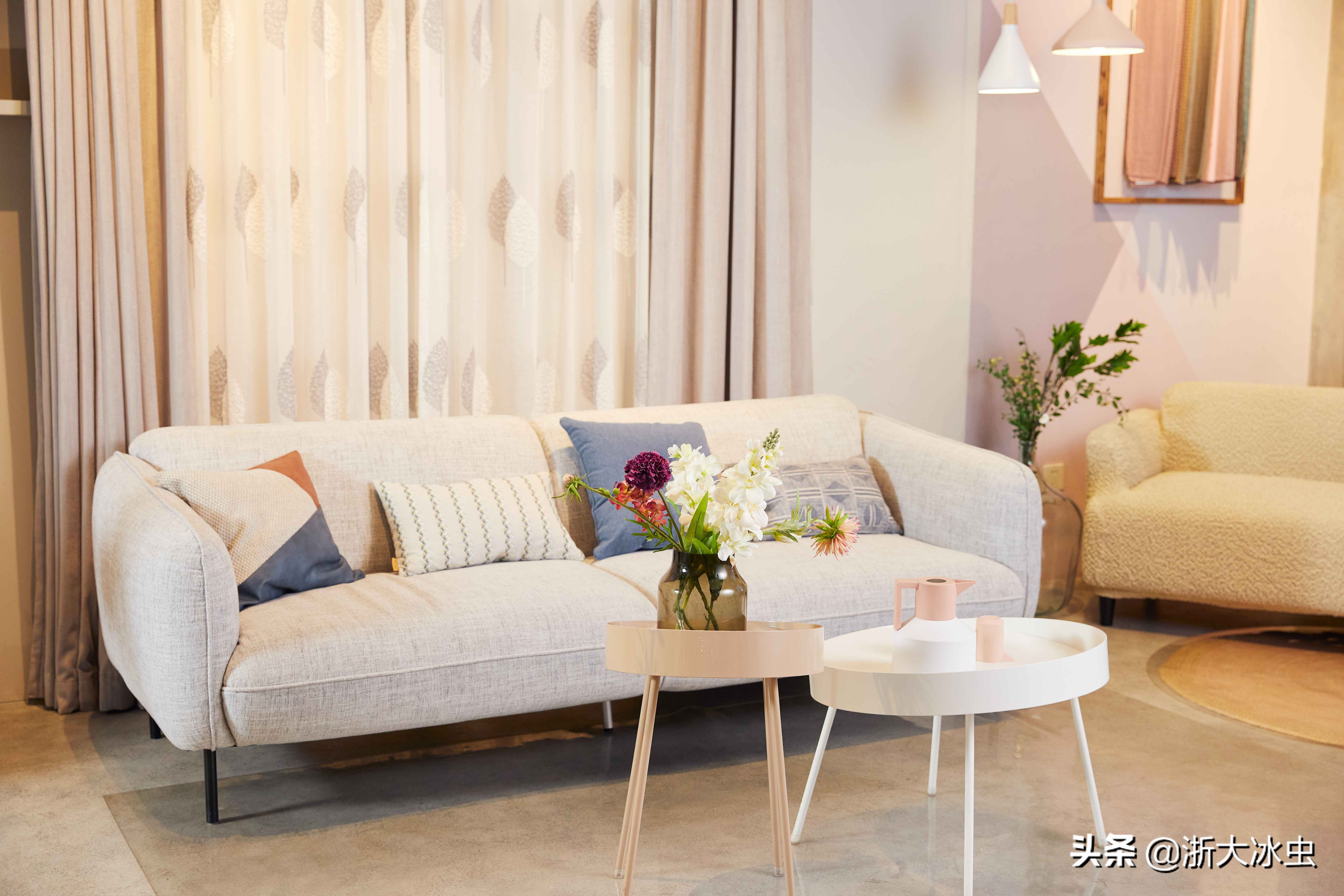 植物除甲醛有用吗？专业除甲醛公司有哪些优势