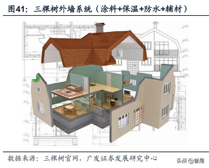 三棵树发展理念,三棵树战略规划