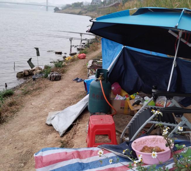 南宁邕江边现职业钓鱼人,一天卖鱼五六百,既能玩又能赚钱你羡慕么