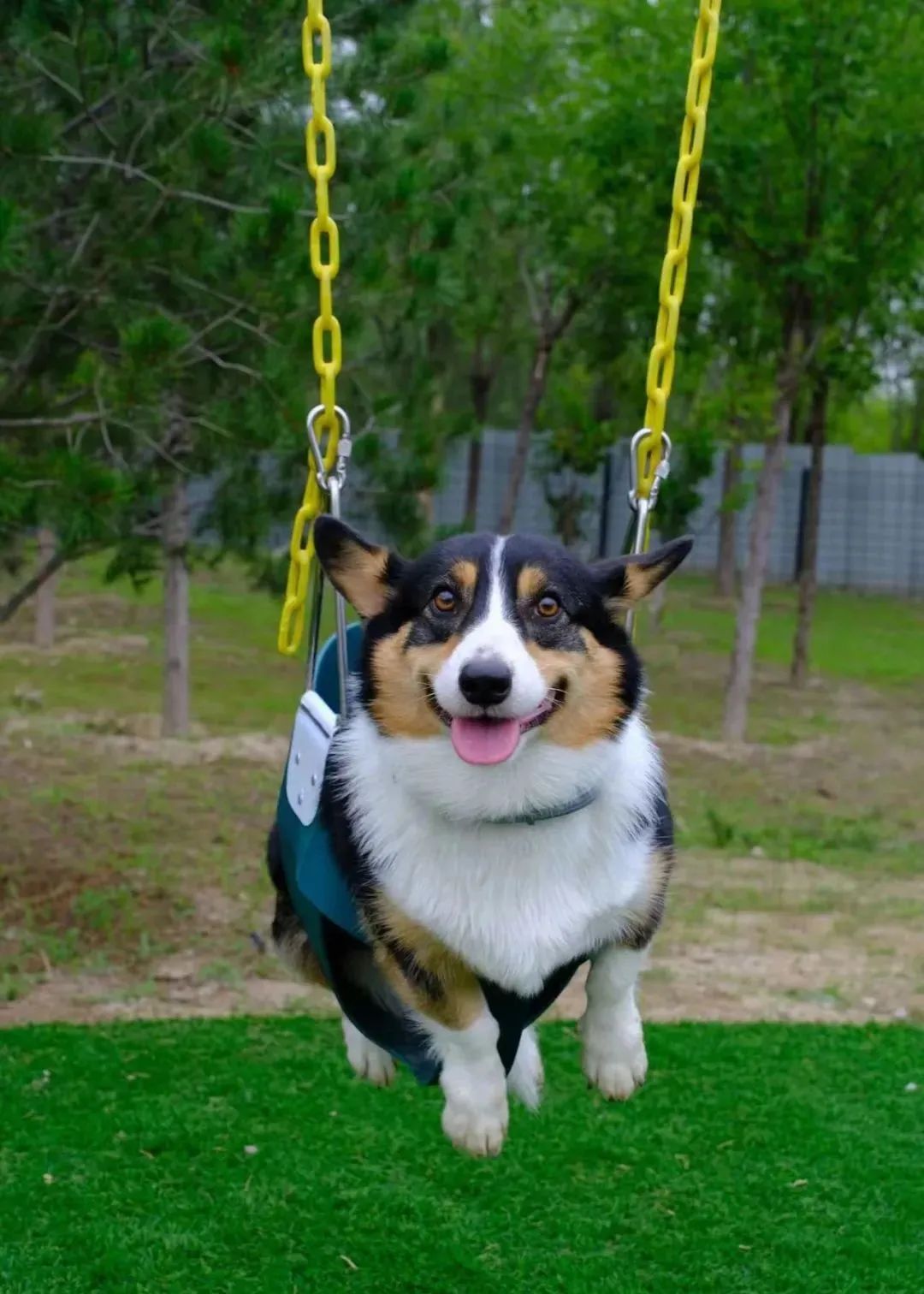 剧透第二波，再揭秘40位摊主！他们说万物有趣不如你有趣！