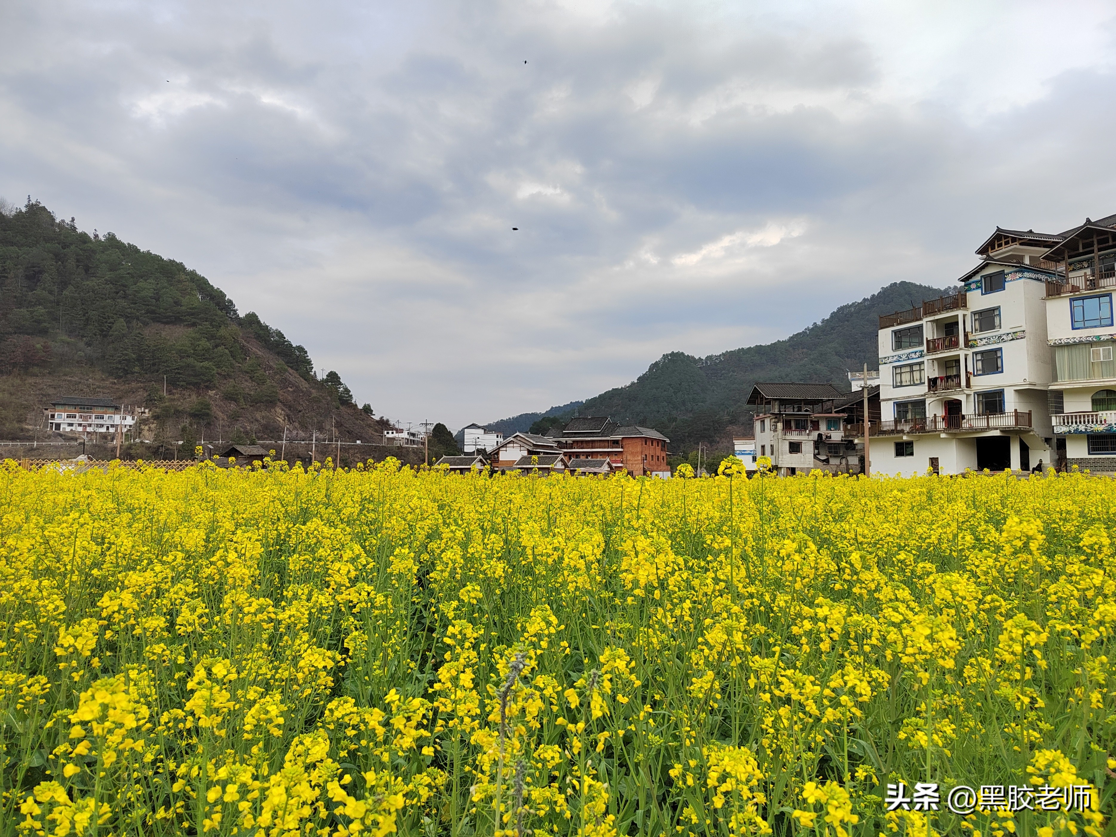 三月的花海景色,3月份哪里有花海