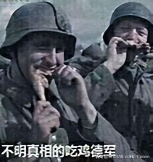 历史上德国空军,德国空军兴亡史