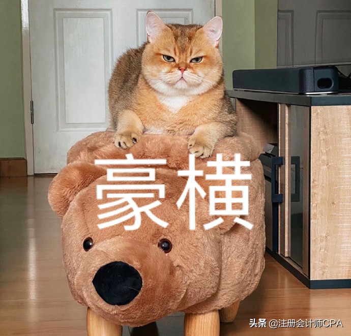 注会备考攻略2020会计预测题,注会复习计划表会计2023