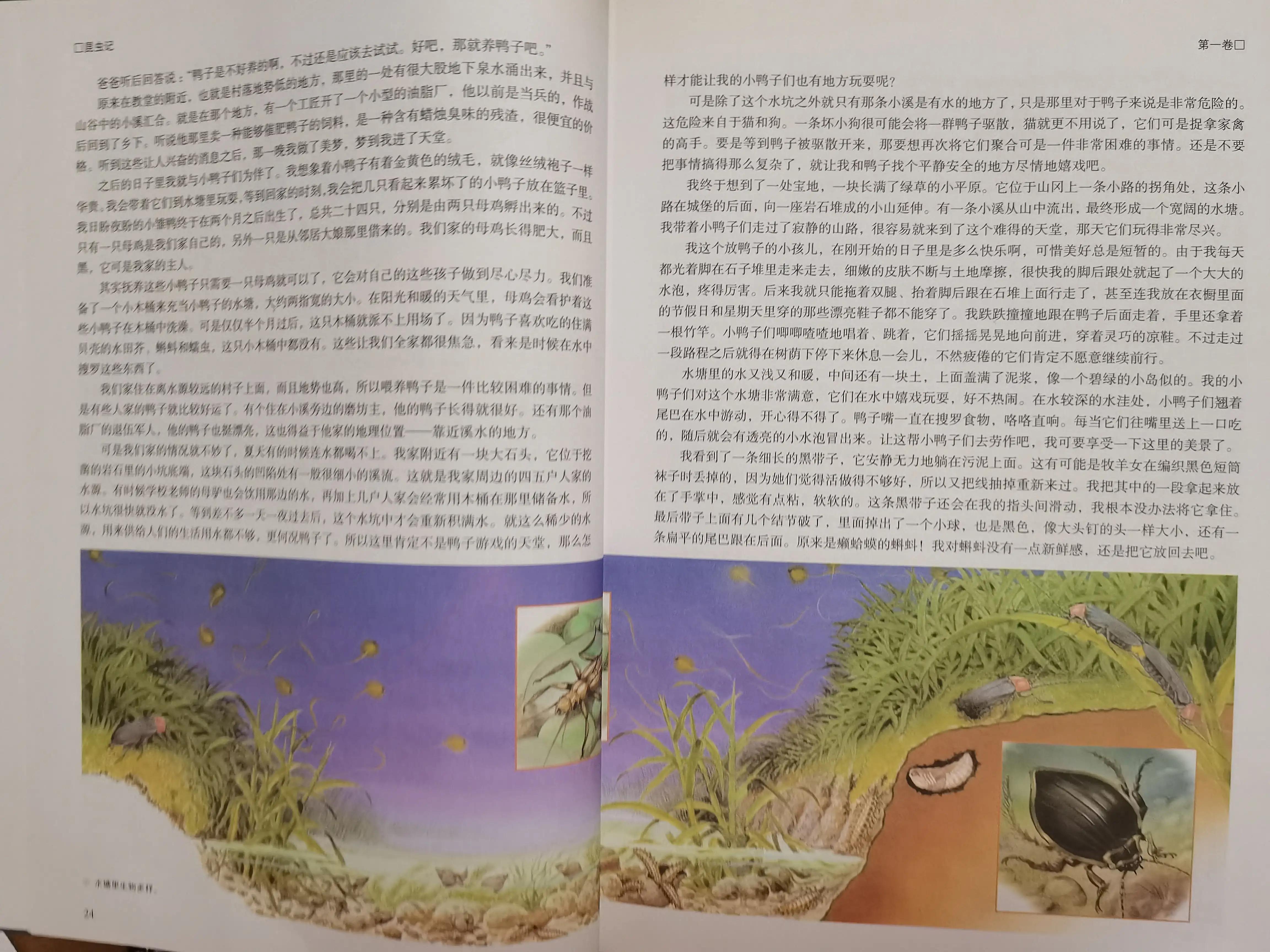 阅读昆虫记的阅读方法和理由,阅读昆虫记的阅读笔记