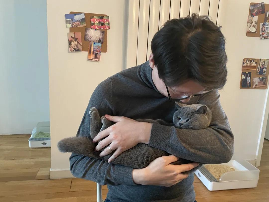 多花数千元为猫赎身，哪些人在买租赁猫？