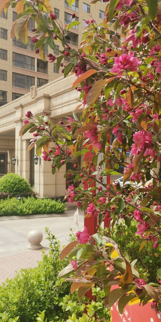 中泽纯境园林简介,中泽纯境园林