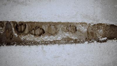 西牛皮防水科技有限公司怎么样,西牛皮防水董事长