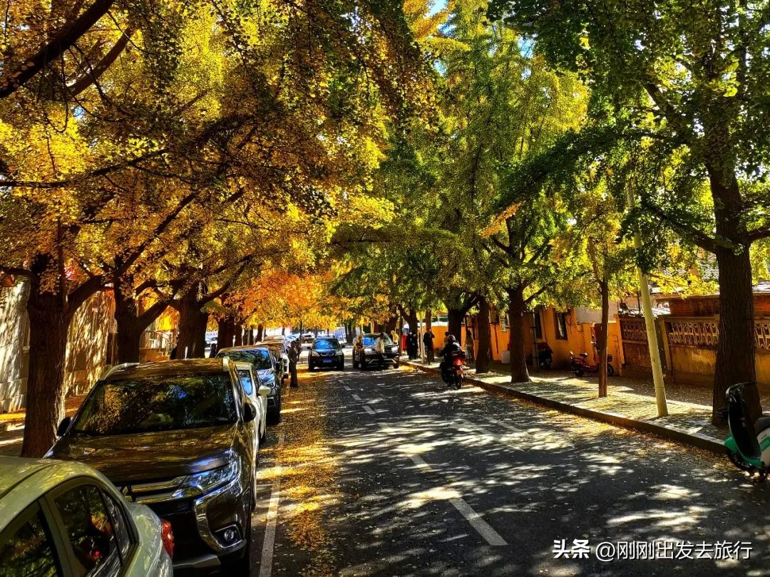 大连旅顺口景区旅游景点,抚顺旅顺太阳沟景区一日游