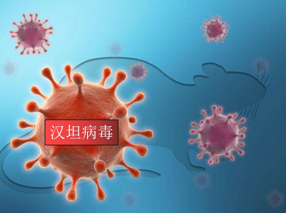 什么是流行性出血热？与肾损伤有何关系？