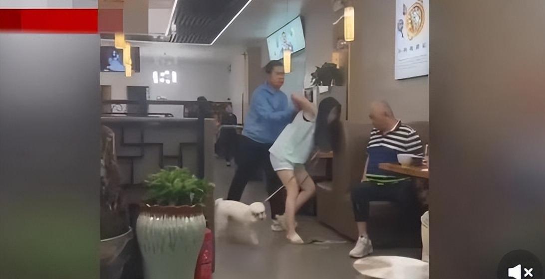 西安养狗打人事件,陕西西安狗主人打人结果