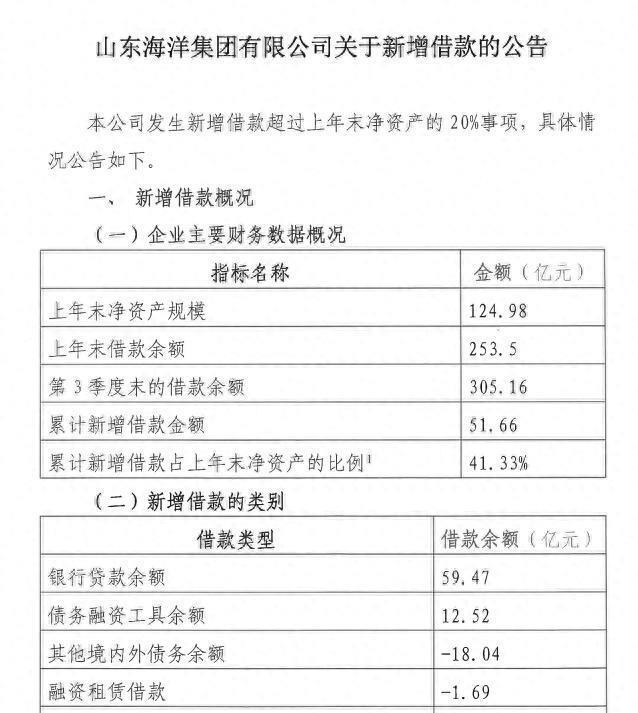 山东海洋集团借款,山东海洋集团2020年利润