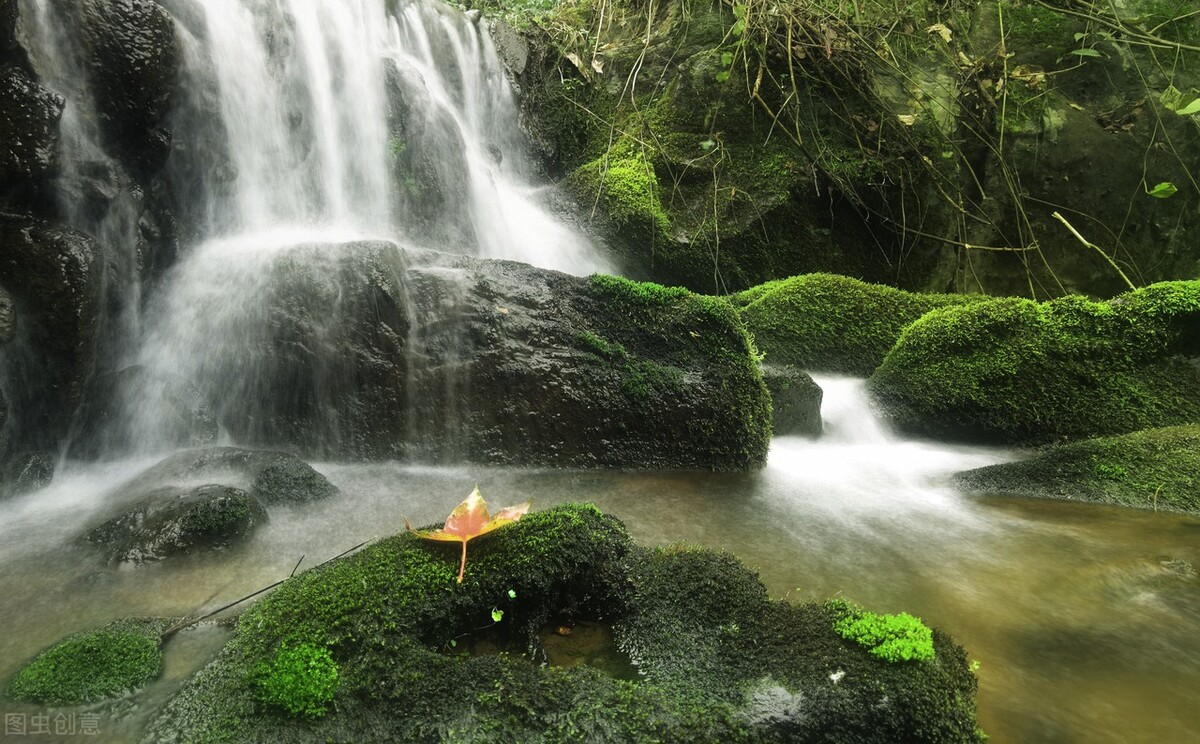 做一个简单糊涂快乐的人就幸福,做个又傻又笨的人活得快乐