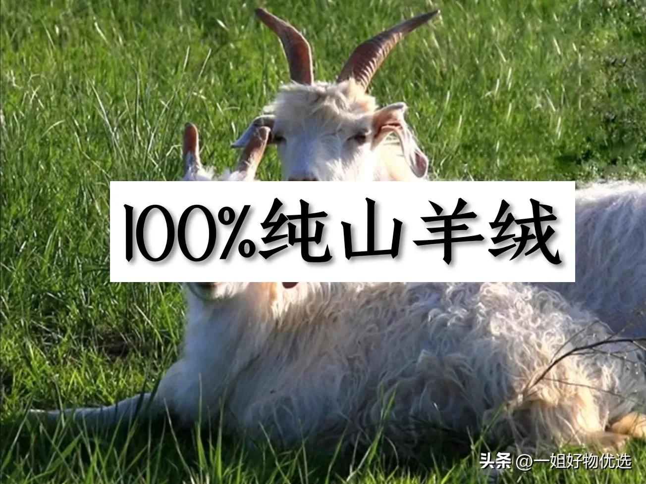 高端羊绒围巾哪个牌子好？值得你收藏!【独家】