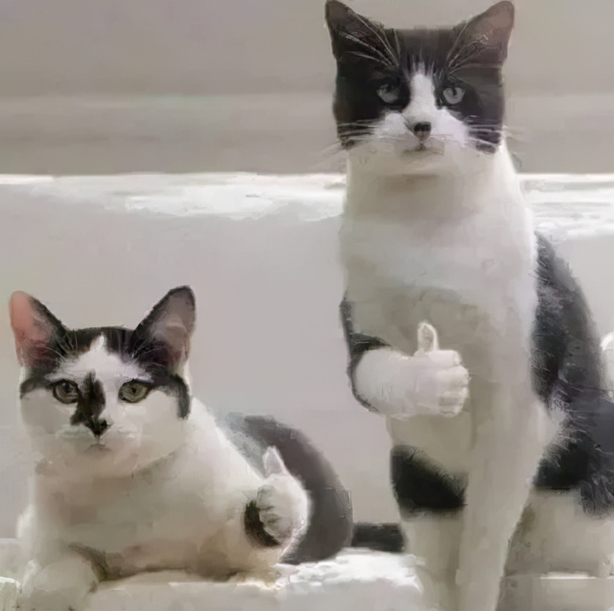 今年的网络热词,近期的网络热词有什么