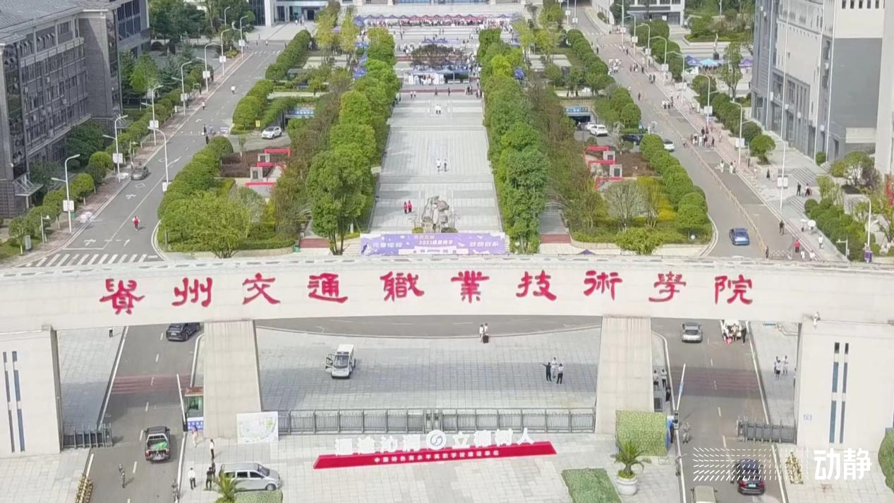 动静调研丨就业压力下，贵州职业教育为何“风景这边独好”