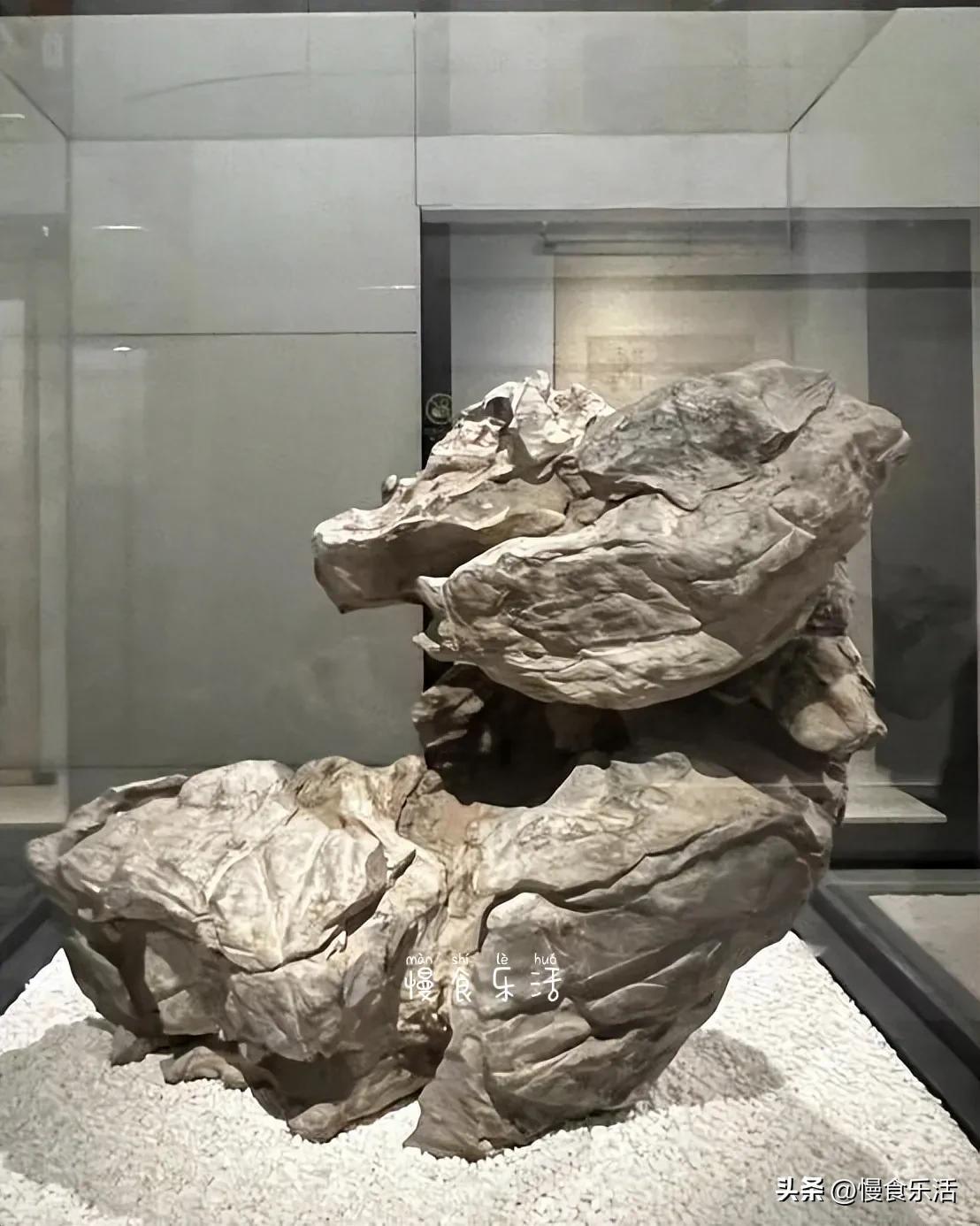 故宫观览图,故宫参观照片