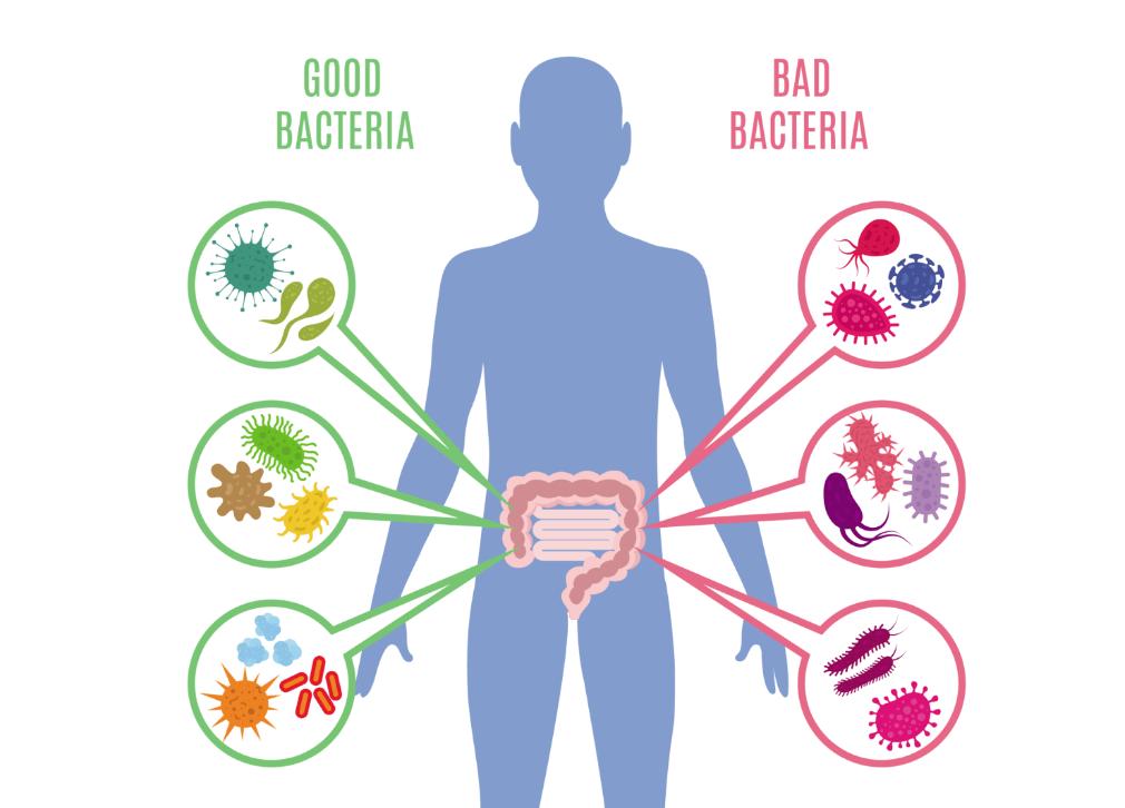 a型b型ab型o型哪个血型长寿,a型b型ab型o型哪种血型性格较好