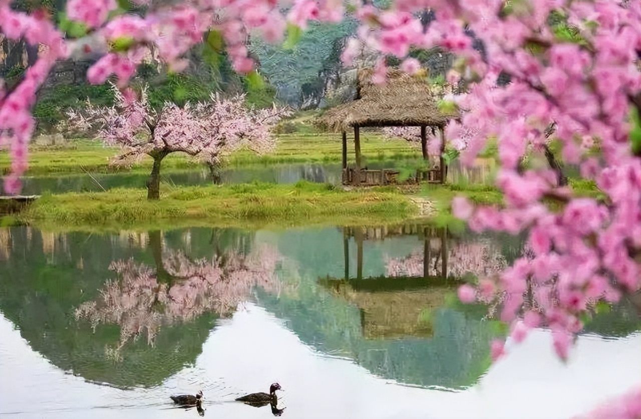 普者黑省旅游景点全攻略,普者黑风景区一天游玩攻略