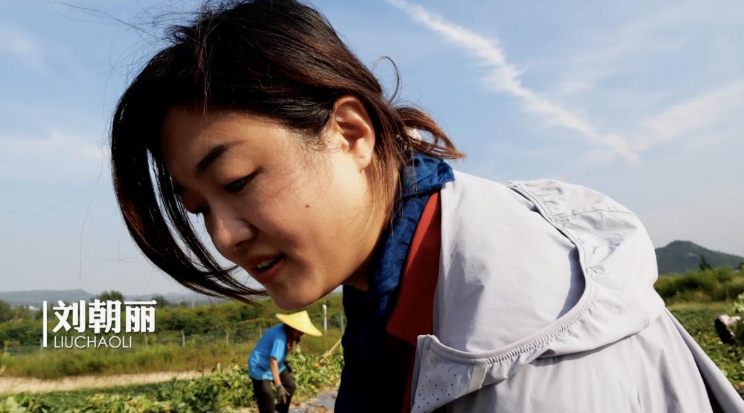 地瓜的盈利模式,地瓜如何销售市场