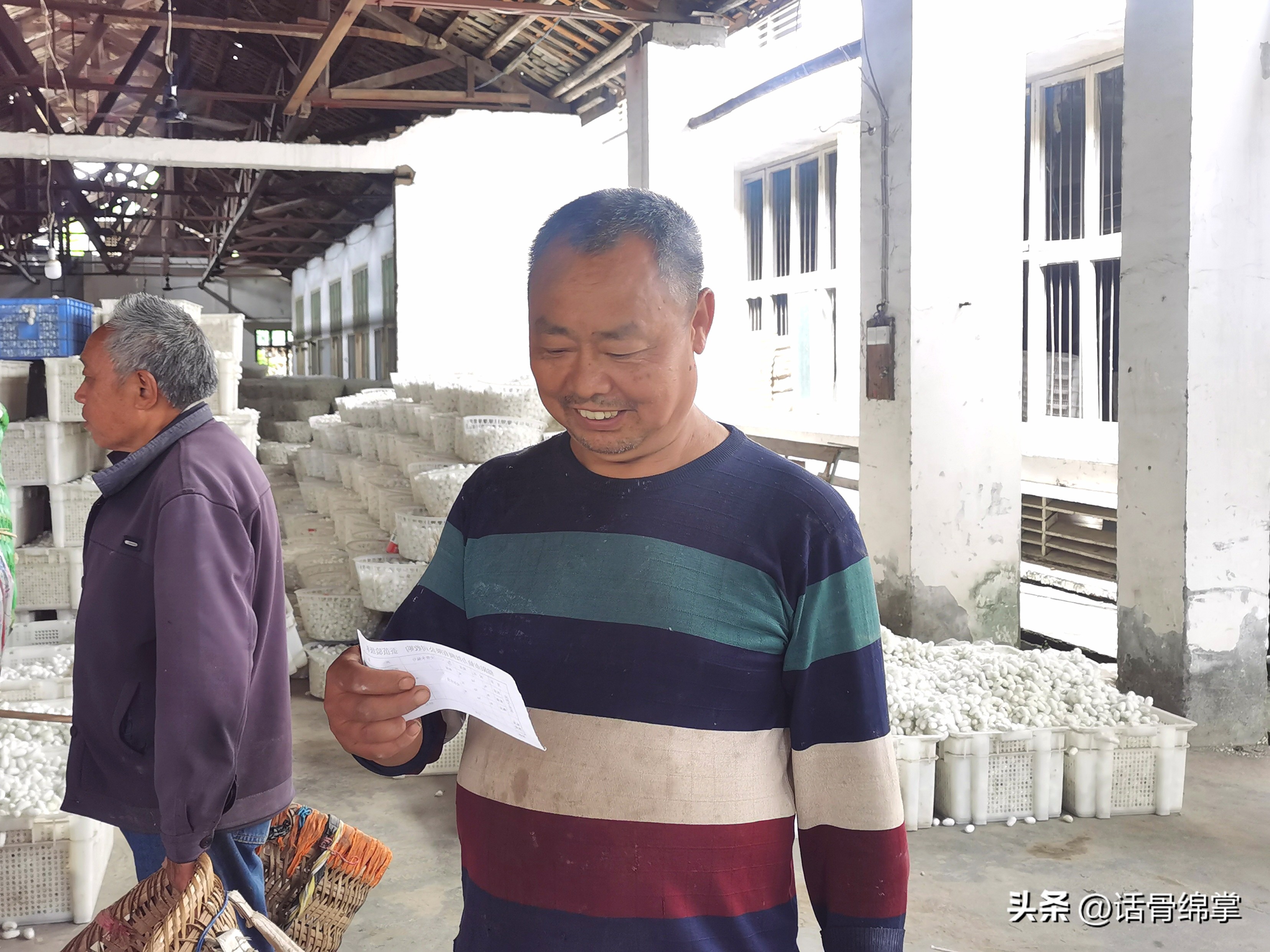 小春蚕结出“致富茧”蚕农增收有“丝”路