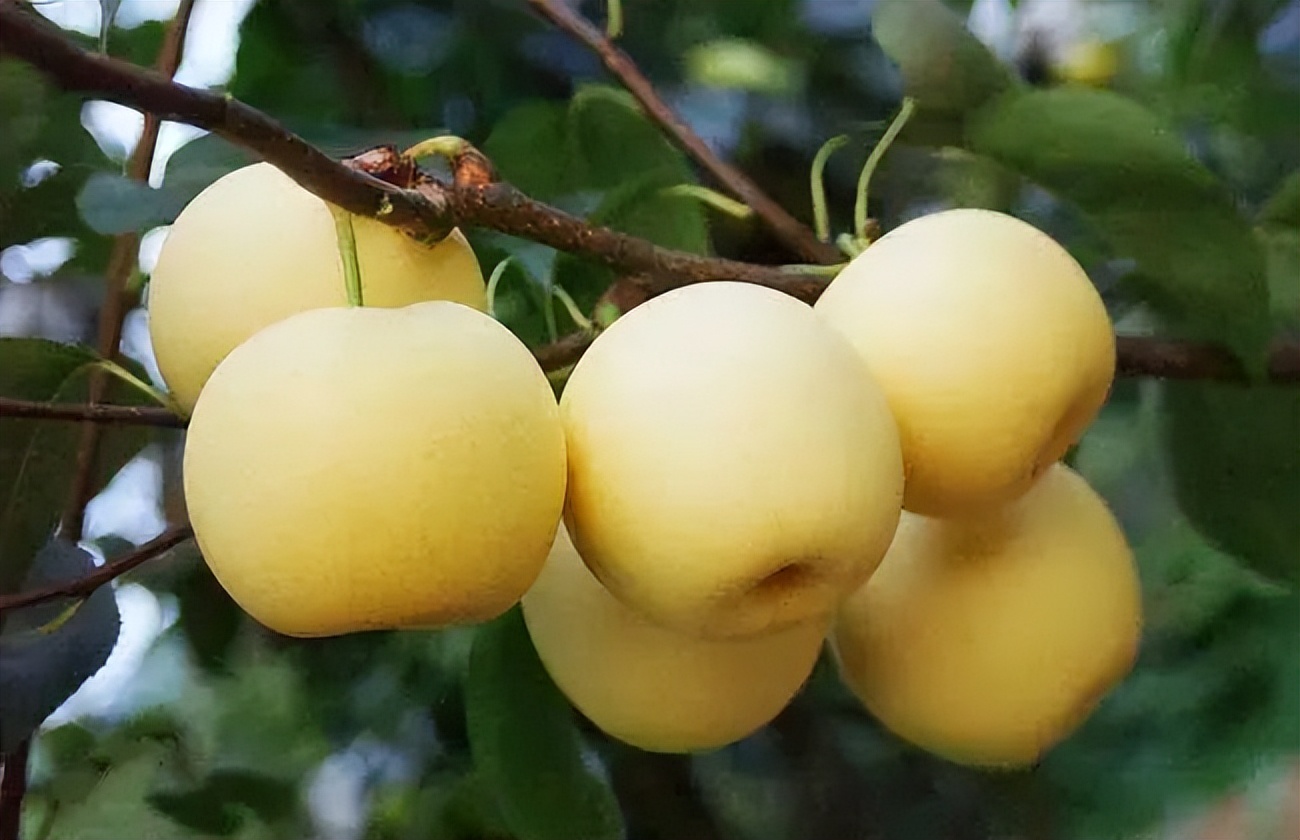 爱上榆林的100个理由,爱上比亚迪100个理由