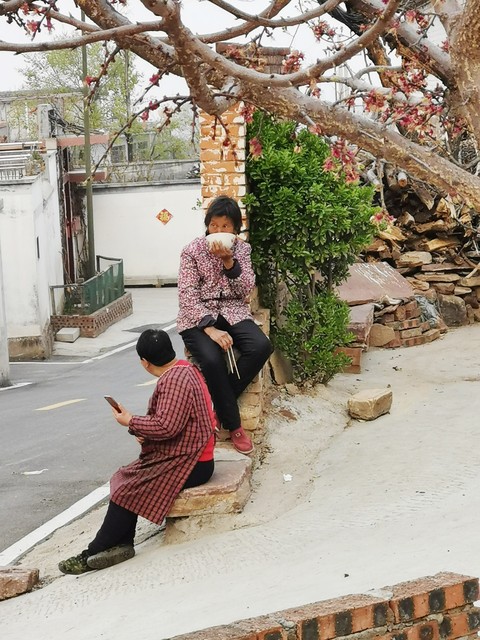 女孩哭诉多年来被婆婆欺负,女子被婆婆欺负怎么反击