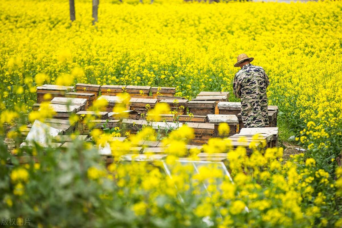 消费主义是怎么被收割的,消费主义和割韭菜的关系