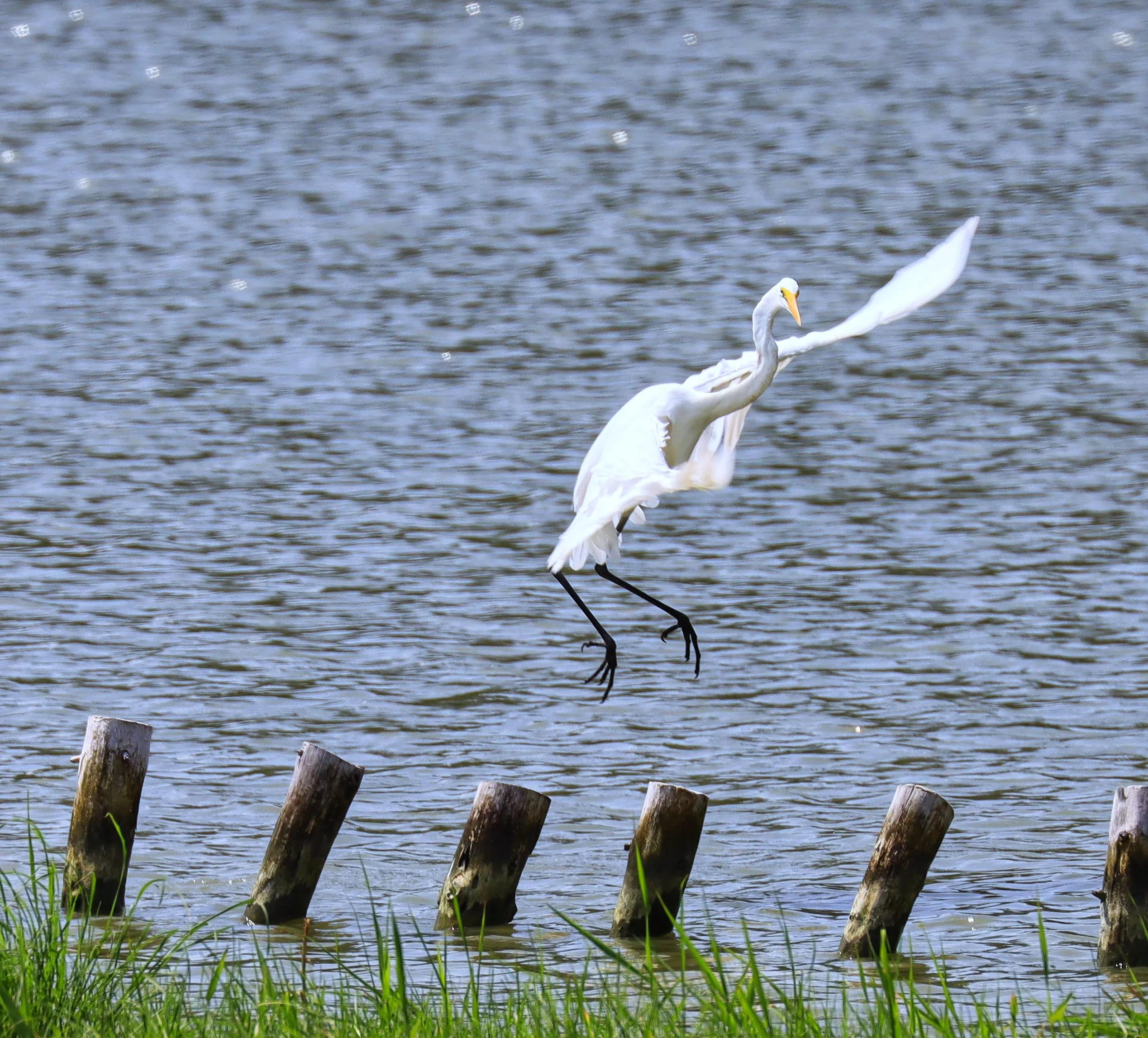 摄影小白需要买哪些装备,摄影小白买多少钱的相机