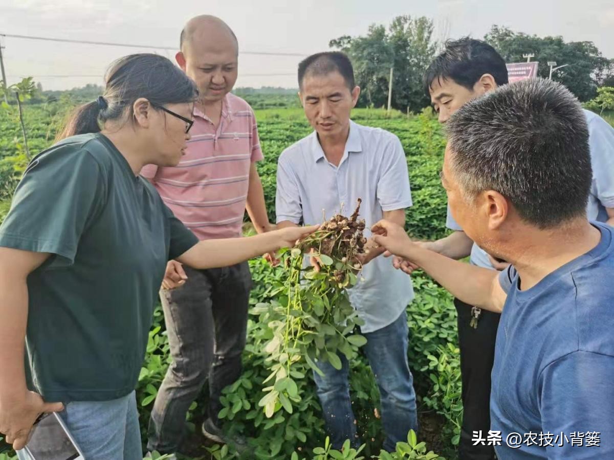 果树缺钙吃什么钙肥好,哪种肥料容易引起钙流失