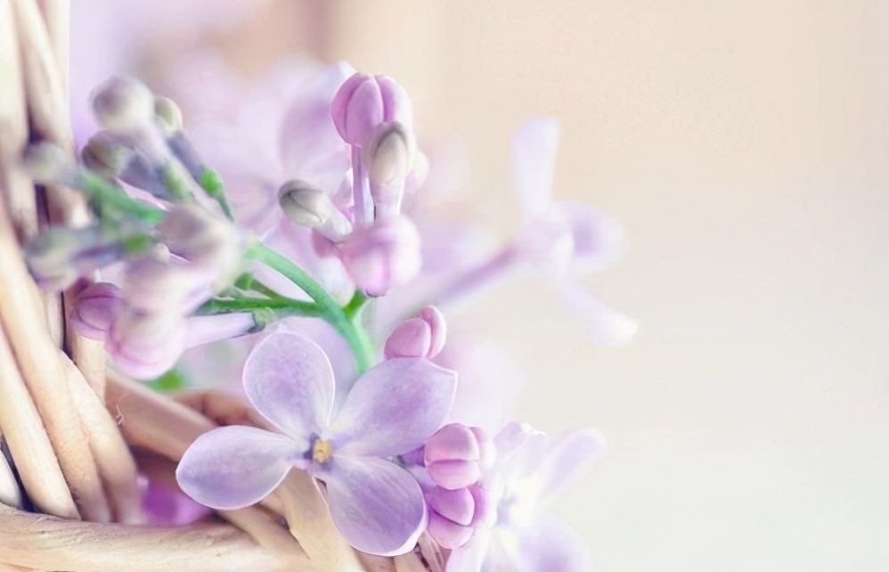 为什么说断联了才是爱情的开始,是不是真爱断联一次就知道