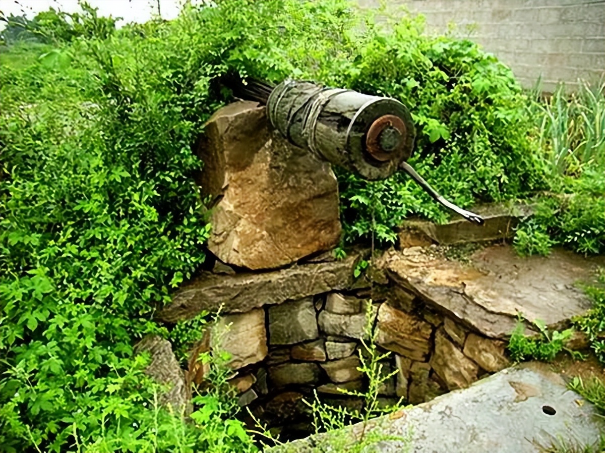 茄子的美味，给肉不换