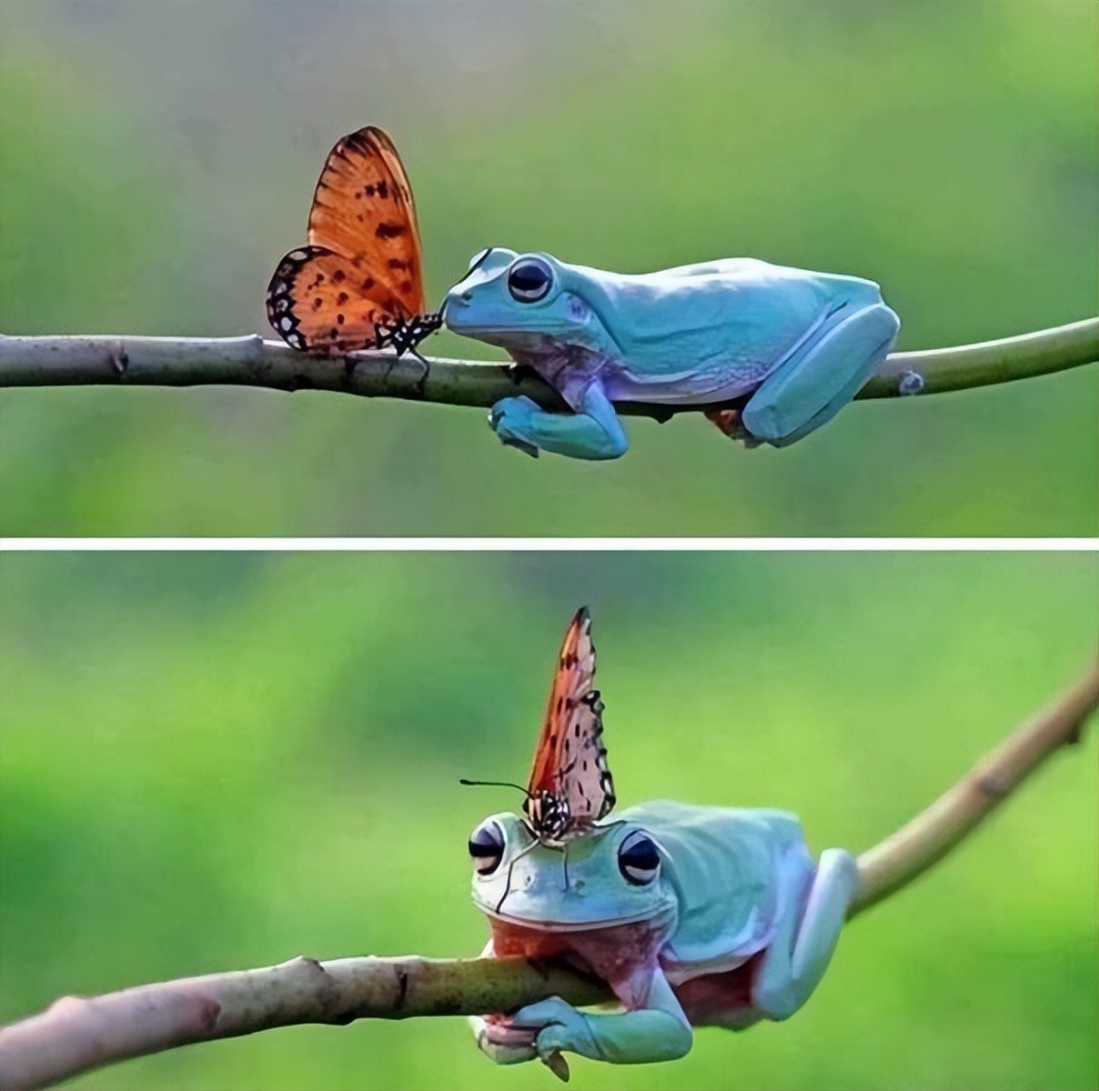 78个真实有趣的照片：山顶的足球场，老树与佛像，老司机脸部皮肤