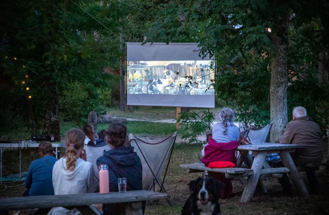 国内知名木屋营地,顶级浪漫营地