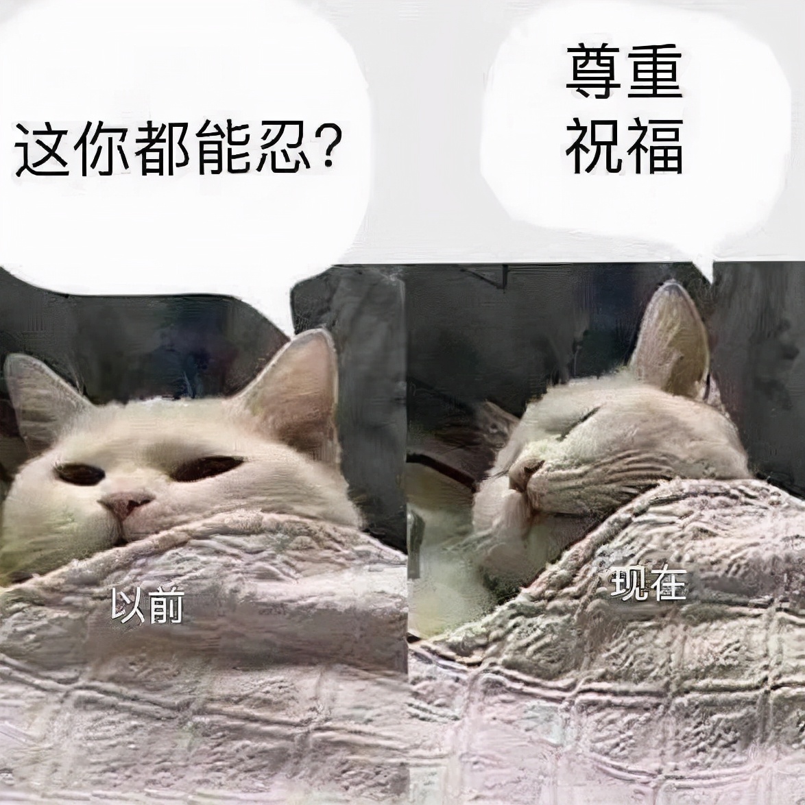 家暴和pua事件,被pua家暴如何应对