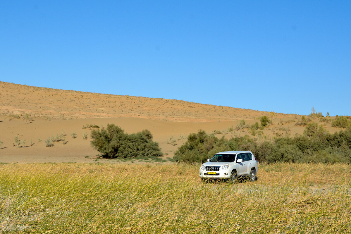 成都租奥迪a610台一天多少钱,泸州租奥迪a6l一天多少钱