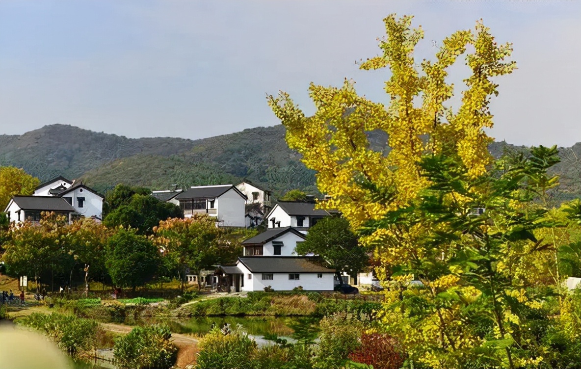 南京春游推荐石塘竹海景区,南京石塘竹海怪坡