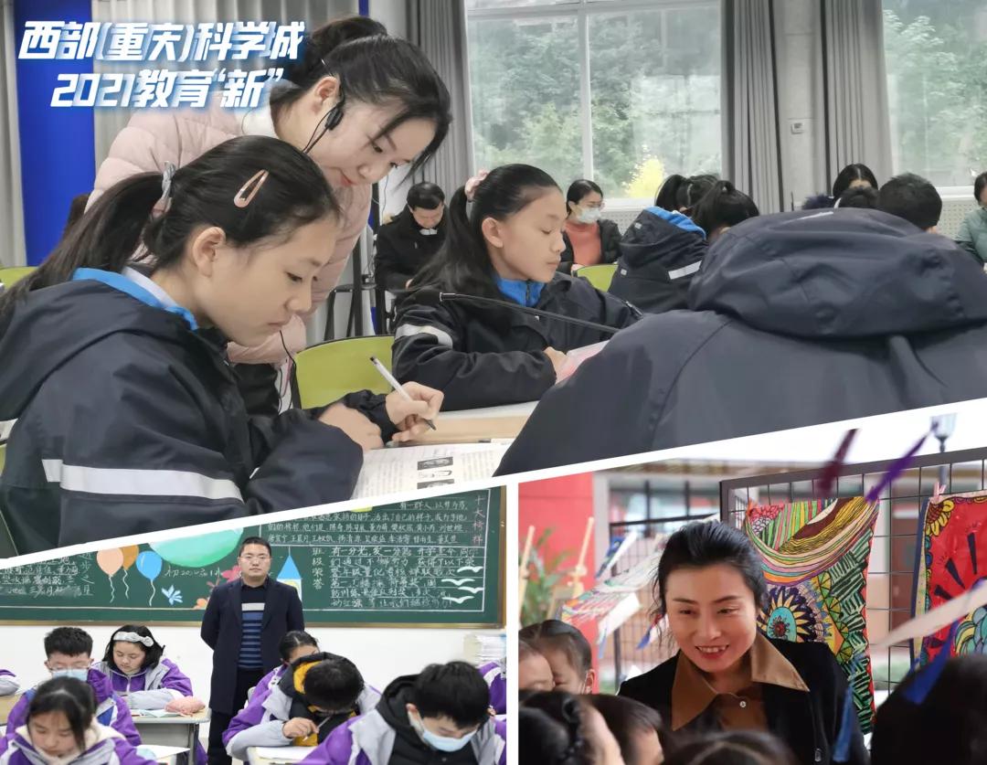 科学城片区学校,科学城教育机构